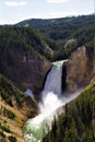 Panoramic Grandeur of Yellowstone Falls Royalty Free Stock Photo