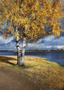 A thunderstorm is approaching, nature froze in anticipation of a storm swirling, swirling clouds of rain. Royalty Free Stock Photo