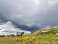 Thunderstorm approaching in Yosemite Nation Park, as seen from a flowery Meadow on a hill in summer