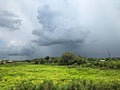 A thunderstorm builds in the sky over the salt marsh of Louisiana. Royalty Free Stock Photo