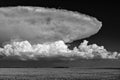 Thunderstorm cumulonimbus cloud over a field