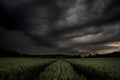 Thunderstorm dark clouds black over green corn Royalty Free Stock Photo