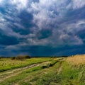 Before a thunderstorm, horizon, clouds, field, summer Royalty Free Stock Photo