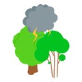 Thunderstorm icon isometric vector. Thundercloud rain and lightning over forest