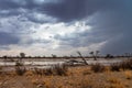 Thunderstorm in the Kalahari in the Kgalagadi Transfrontier Park i