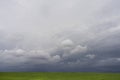 Thunderstorm over a field Royalty Free Stock Photo