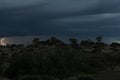 Thunderstorm over Quiver trees in Namibia Royalty Free Stock Photo