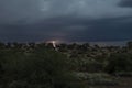 Thunderstorm over Quiver trees in Namibia Royalty Free Stock Photo