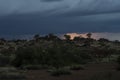 Thunderstorm over Quiver trees in Namibia Royalty Free Stock Photo