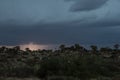 Thunderstorm over Quiver trees in Namibia Royalty Free Stock Photo