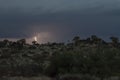 Thunderstorm over Quiver trees in Namibia Royalty Free Stock Photo