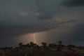 Thunderstorm over Quiver trees in Namibia Royalty Free Stock Photo