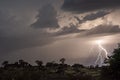 Thunderstorm over Quiver trees in Namibia Royalty Free Stock Photo