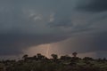 Thunderstorm over Quiver trees in Namibia Royalty Free Stock Photo