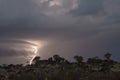 Thunderstorm over Quiver trees in Namibia