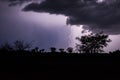 Thunderstorm over Quiver trees in Namibia