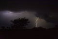 Thunderstorm over Quiver trees in Namibia Royalty Free Stock Photo