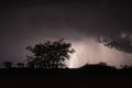 Thunderstorm over Quiver trees in Namibia Royalty Free Stock Photo