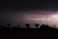 Thunderstorm over Quiver trees in Namibia Royalty Free Stock Photo