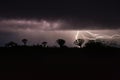 Thunderstorm over Quiver trees in Namibia Royalty Free Stock Photo