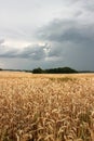 Thunderstorm rolling on