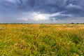 Thunderstorm in steppe Royalty Free Stock Photo