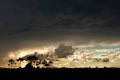 A thunderstorm sweeps over the Everglades