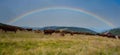Rainbow in the vosges mountains on the ballon d`alsace