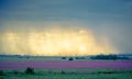 Thunderstormy twilight afternoon landscape, Rietvlei Nature Reserve, South Africa. Royalty Free Stock Photo