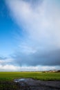 Thundery shower with rain streaks over the Dutch countryside