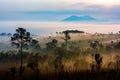 Thung Salaeng Luang national park of Thailand, mountain view with sea of fog and forest