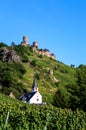 Thurant Castle, Alken, Rhineland-Palatinate, Germany, Europe Royalty Free Stock Photo