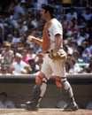 Thurman Munson Royalty Free Stock Photo