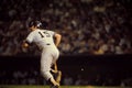 Thurman Munson New York Yankees Royalty Free Stock Photo