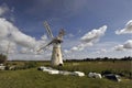 Thurne Mill Royalty Free Stock Photo
