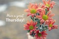 Thursday card and greeting concept with a bouquet of dahlia peach color flowers background. Have a great Thursday. Royalty Free Stock Photo