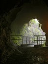 Thurston Lava Tube Royalty Free Stock Photo