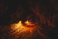 Thurston lava tube in volcano natinal park Royalty Free Stock Photo