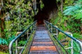 The Thurston Lava Tube, Volcanoes National Park, Hawaii