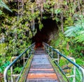 The Thurston Lava Tube, Volcanoes National Park, Hawaii Royalty Free Stock Photo