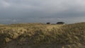 Thyboron city seen from the sea side, there is beach grass, blue sky with clouds