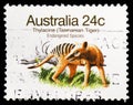 Thylacine Thylacinus cyanocephalus, Endangered Species 1981-1984 serie, circa 1981