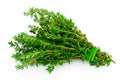 Thyme