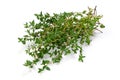 Thyme