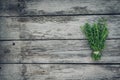 Thyme bunch. Bundle of fresh thymes on a wooden background. Retro magazine picture. Copy space Royalty Free Stock Photo