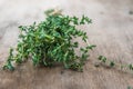 Thyme bunch. Bundle of fresh thymes on a wooden background Royalty Free Stock Photo