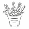 Thyme Coloring Page For Kids: Haworthia Fasciata Plant In Cartoon Style