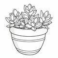 Thyme Coloring Page For Kids: Potted Haworthia Fasciata Plant