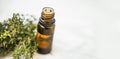 Thyme essential oil bottle with thyme herb twigs on white background with copy space, spa essential oil , thyme oil Royalty Free Stock Photo