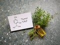 Thyme essential oil with fresh green thyme twigs and chemical formula of thymol. Beauty, spa concept.